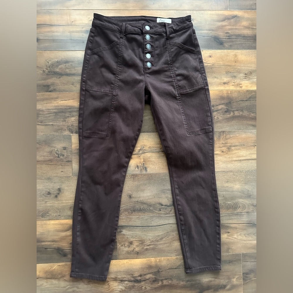 Cosmic Blue Love Brown High Rise Button Fly Utility Skinny Pants 29